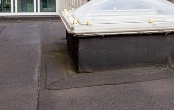 disadvantages of Craigside flat roofs