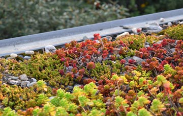 the cost of Craigside green roof installation