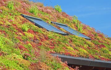 Craigside living roof systems
