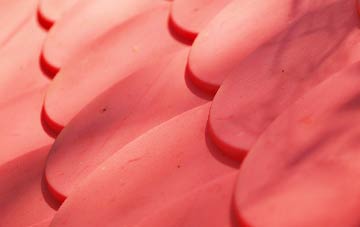 Craigside plastic roof costs