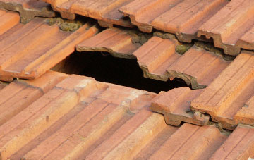 roof repair Craigside, County Durham